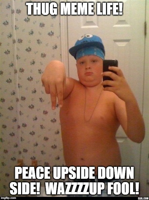 thug life | THUG MEME LIFE! PEACE UPSIDE DOWN SIDE!  WAZZZZUP FOOL! | image tagged in thug life | made w/ Imgflip meme maker