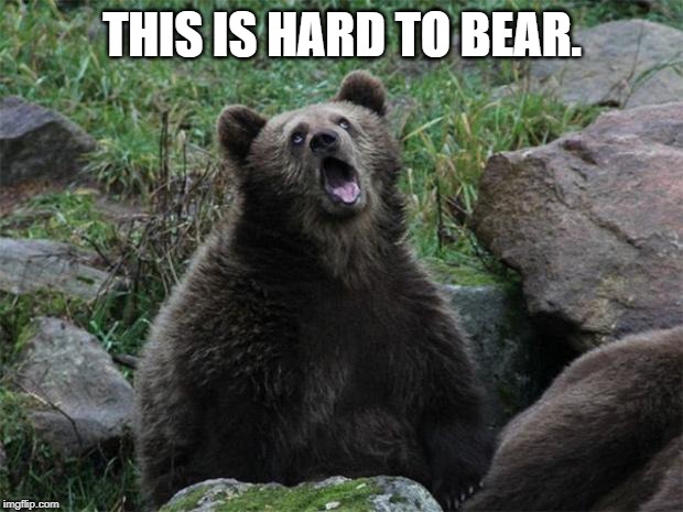 Sarcastic Bear | THIS IS HARD TO BEAR. | image tagged in sarcastic bear | made w/ Imgflip meme maker