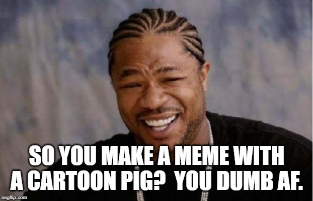 Yo Dawg Heard You Meme | SO YOU MAKE A MEME WITH A CARTOON PIG?  YOU DUMB AF. | image tagged in memes,yo dawg heard you | made w/ Imgflip meme maker