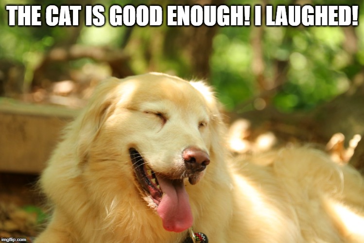 Dog laughing | THE CAT IS GOOD ENOUGH! I LAUGHED! | image tagged in dog laughing | made w/ Imgflip meme maker