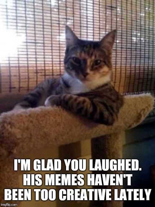 The Most Interesting Cat In The World Meme | I'M GLAD YOU LAUGHED. HIS MEMES HAVEN'T BEEN TOO CREATIVE LATELY | image tagged in memes,the most interesting cat in the world | made w/ Imgflip meme maker