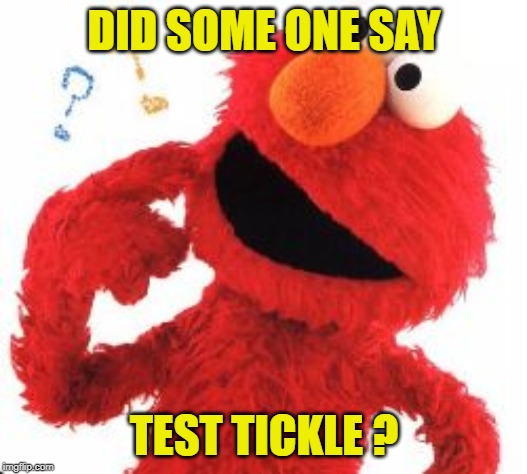 Elmo Questions | DID SOME ONE SAY TEST TICKLE ? | image tagged in elmo questions | made w/ Imgflip meme maker