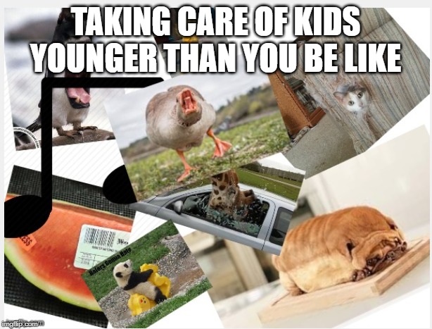 WiLd AnImAlS | TAKING CARE OF KIDS YOUNGER THAN YOU BE LIKE | image tagged in random stuff happening | made w/ Imgflip meme maker