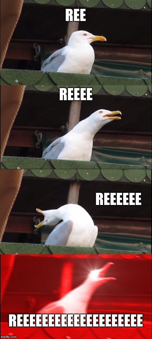 Inhaling Seagull Meme | REE; REEEE; REEEEEE; REEEEEEEEEEEEEEEEEEEE | image tagged in memes,inhaling seagull | made w/ Imgflip meme maker