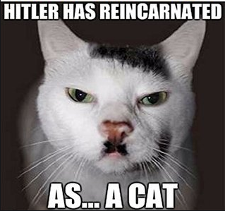 High Quality hitler cat Blank Meme Template