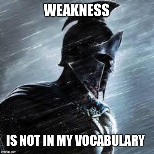 Spartan rain | WEAKNESS; IS NOT IN MY VOCABULARY | image tagged in spartan rain | made w/ Imgflip meme maker