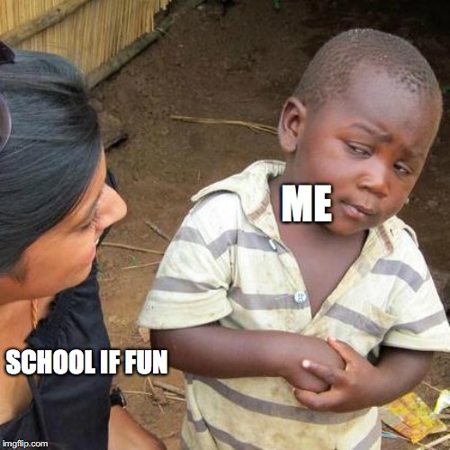 Third World Skeptical Kid | ME; SCHOOL IF FUN | image tagged in memes,third world skeptical kid | made w/ Imgflip meme maker