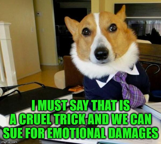 When you fake throwing the ball | I MUST SAY THAT IS A CRUEL TRICK AND WE CAN SUE FOR EMOTIONAL DAMAGES | image tagged in lawyer corgi dog | made w/ Imgflip meme maker