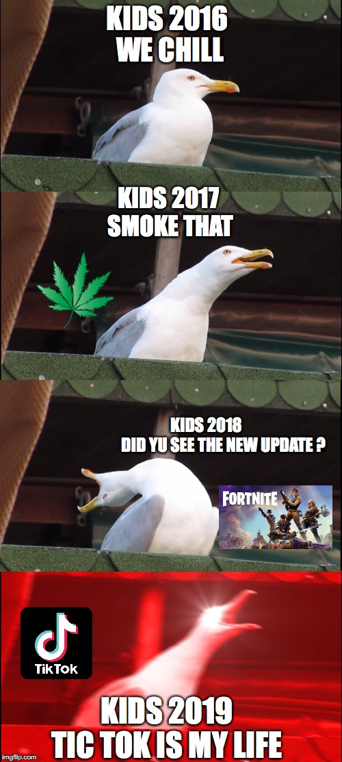 Inhaling Seagull Meme | KIDS 2016 
WE CHILL; KIDS 2017 
SMOKE THAT; KIDS 2018
           DID YU SEE THE NEW UPDATE ? KIDS 2019
TIC TOK IS MY LIFE | image tagged in memes,inhaling seagull | made w/ Imgflip meme maker