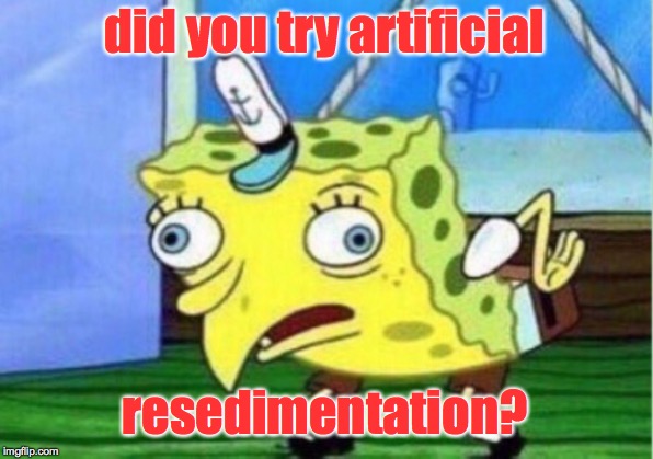 Mocking Spongebob Meme | did you try artificial resedimentation? | image tagged in memes,mocking spongebob | made w/ Imgflip meme maker