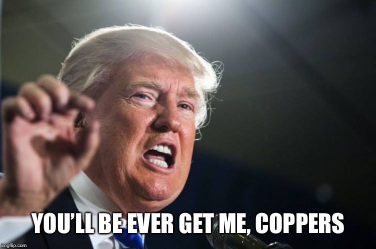 donald trump | YOU’LL BE EVER GET ME, COPPERS | image tagged in donald trump | made w/ Imgflip meme maker