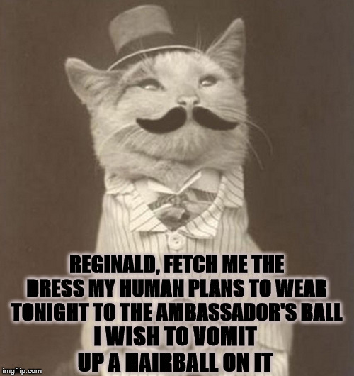 JEEVES | REGINALD, FETCH ME THE DRESS MY HUMAN PLANS TO WEAR TONIGHT TO THE AMBASSADOR'S BALL; I WISH TO VOMIT UP A HAIRBALL ON IT | image tagged in jeeves | made w/ Imgflip meme maker