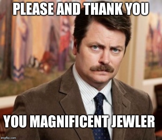 Ron Swanson Meme | PLEASE AND THANK YOU; YOU MAGNIFICENT JEWELER | image tagged in memes,ron swanson | made w/ Imgflip meme maker