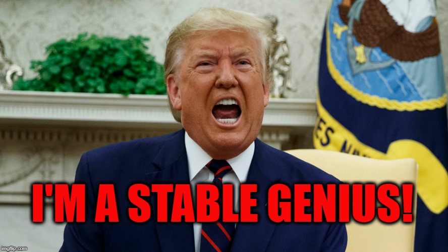 Stable Genius | I'M A STABLE GENIUS! | image tagged in stable genius,trump | made w/ Imgflip meme maker