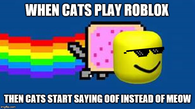 oof cat | WHEN CATS PLAY ROBLOX; THEN CATS START SAYING OOF INSTEAD OF MEOW | image tagged in oof,nyan cat | made w/ Imgflip meme maker