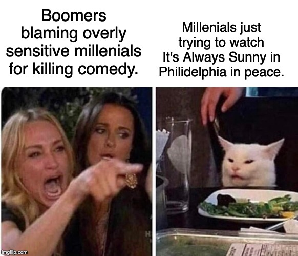 Lady screams at cat | Millenials just trying to watch It's Always Sunny in Philidelphia in peace. Boomers blaming overly sensitive millenials for killing comedy. | image tagged in lady screams at cat,millennials,political correctness,it's always sunny in philidelphia | made w/ Imgflip meme maker