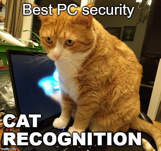 Cat Recognition | Best PC security; CAT RECOGNITION | image tagged in cat recognition | made w/ Imgflip meme maker
