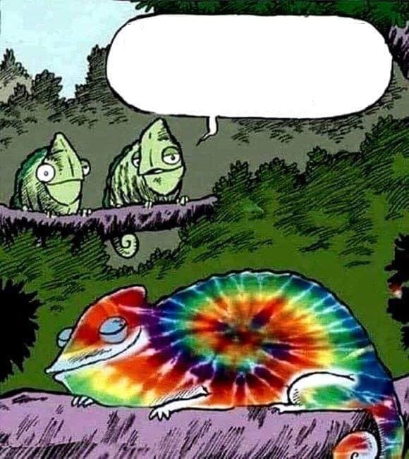 RAINBOW CHAMELEON BLANK Blank Meme Template