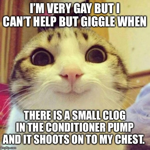 Smiling Cat Meme | I’M VERY GAY BUT I CAN’T HELP BUT GIGGLE WHEN; THERE IS A SMALL CLOG IN THE CONDITIONER PUMP AND IT SHOOTS ON TO MY CHEST. | image tagged in memes,smiling cat | made w/ Imgflip meme maker