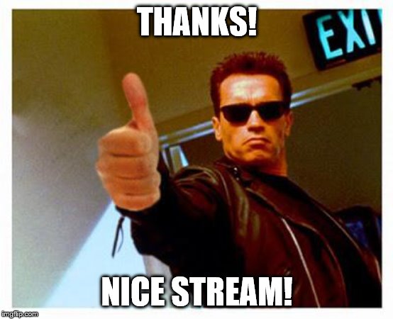 terminator thumbs up | THANKS! NICE STREAM! | image tagged in terminator thumbs up | made w/ Imgflip meme maker