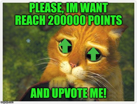 Im want reach 200000 points :) | PLEASE, IM WANT REACH 200000 POINTS; AND UPVOTE ME! | image tagged in memes,shrek cat,upvotes,upvote | made w/ Imgflip meme maker