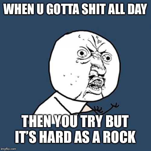 Y U No Meme | WHEN U GOTTA SHIT ALL DAY; THEN YOU TRY BUT IT’S HARD AS A ROCK | image tagged in memes,y u no | made w/ Imgflip meme maker