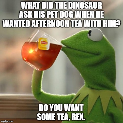 But That's None Of My Business Meme | WHAT DID THE DINOSAUR ASK HIS PET DOG WHEN HE WANTED AFTERNOON TEA WITH HIM? DO YOU WANT SOME TEA, REX. | image tagged in memes,but thats none of my business,kermit the frog | made w/ Imgflip meme maker