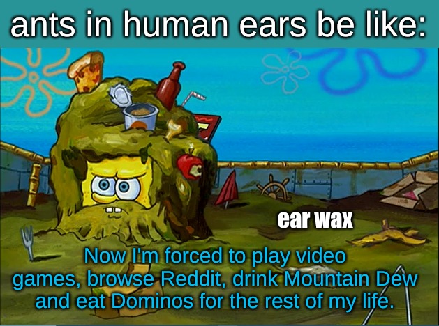 ear wax; Now I'm forced to play video games, browse Reddit, drink Mountain Dew and eat Dominos for the rest of my life. | image tagged in memes,life | made w/ Imgflip meme maker