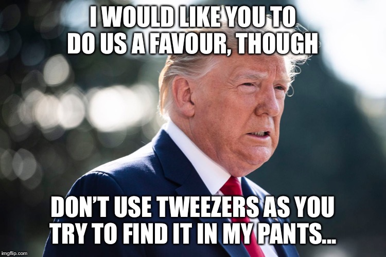 A tiny mind and a tiny... | I WOULD LIKE YOU TO DO US A FAVOUR, THOUGH; DON’T USE TWEEZERS AS YOU TRY TO FIND IT IN MY PANTS... | image tagged in donald trump | made w/ Imgflip meme maker