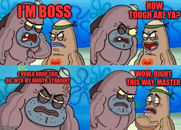 How Tough Are You Meme | HOW TOUGH ARE YA? I'M BOSS; I VOULD DROP CBD OIL INTO MY MOUTH STRAIGHT; WOW, RIGHT THIS WAY, MASTER | image tagged in memes,how tough are you | made w/ Imgflip meme maker