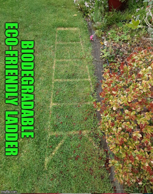 Biodegradable Eco-friendly Ladder | BIODEGRADABLE ECO-FRIENDLY  LADDER | image tagged in greta thunberg how dare you,green,grass,drugs,lazy,mowing | made w/ Imgflip meme maker