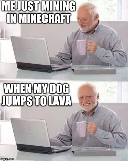 Hide the Pain Harold Meme | ME JUST MINING IN MINECRAFT; WHEN MY DOG JUMPS TO LAVA | image tagged in memes,hide the pain harold | made w/ Imgflip meme maker
