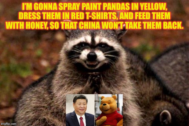 Pandas are awesome, and so is Pooh. Xi Jinping, not so much. | I’M GONNA SPRAY PAINT PANDAS IN YELLOW, DRESS THEM IN RED T-SHIRTS, AND FEED THEM WITH HONEY, SO THAT CHINA WON’T TAKE THEM BACK. | image tagged in memes,evil plotting raccoon,winnie the pooh,china,panda,disney | made w/ Imgflip meme maker