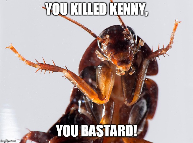 Cockroach | YOU KILLED KENNY, YOU BASTARD! | image tagged in cockroach | made w/ Imgflip meme maker