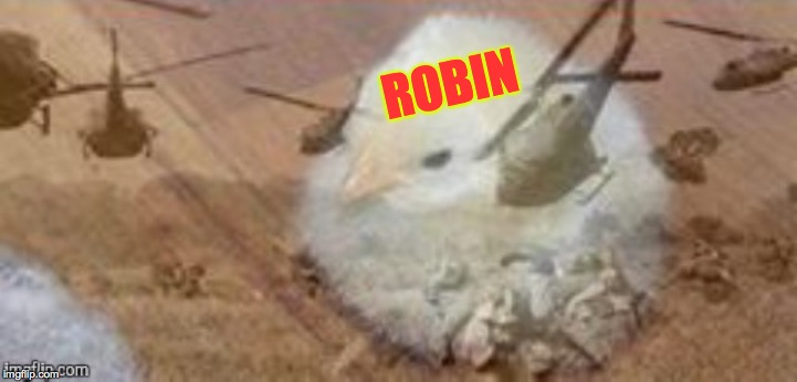 ROBIN | made w/ Imgflip meme maker