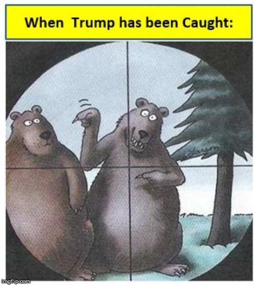 Trump BLAME | image tagged in trump blame | made w/ Imgflip meme maker