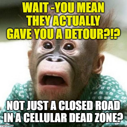 Shocked Monkey | WAIT -YOU MEAN THEY ACTUALLY GAVE YOU A DETOUR?!? NOT JUST A CLOSED ROAD IN A CELLULAR DEAD ZONE? | image tagged in shocked monkey | made w/ Imgflip meme maker