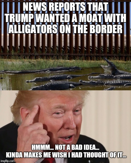 Sharks with lasers! | NEWS REPORTS THAT TRUMP WANTED A MOAT WITH ALLIGATORS ON THE BORDER; HMMM... NOT A BAD IDEA...
 KINDA MAKES ME WISH I HAD THOUGHT OF IT... | image tagged in donald trump,secure the border,alligators,maga,media lies | made w/ Imgflip meme maker