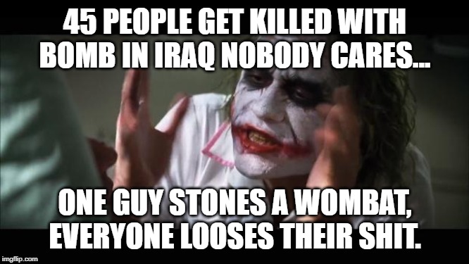 And everybody loses their minds | 45 PEOPLE GET KILLED WITH BOMB IN IRAQ NOBODY CARES... ONE GUY STONES A WOMBAT, EVERYONE LOOSES THEIR SHIT. | image tagged in memes,and everybody loses their minds | made w/ Imgflip meme maker