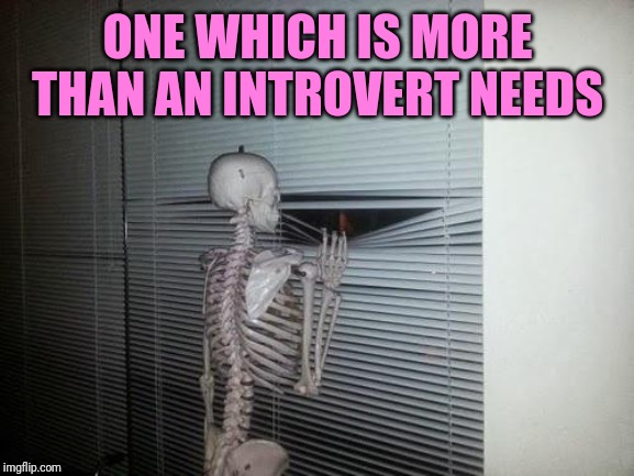 Skeleton Looking Out Window | ONE WHICH IS MORE THAN AN INTROVERT NEEDS | image tagged in skeleton looking out window | made w/ Imgflip meme maker