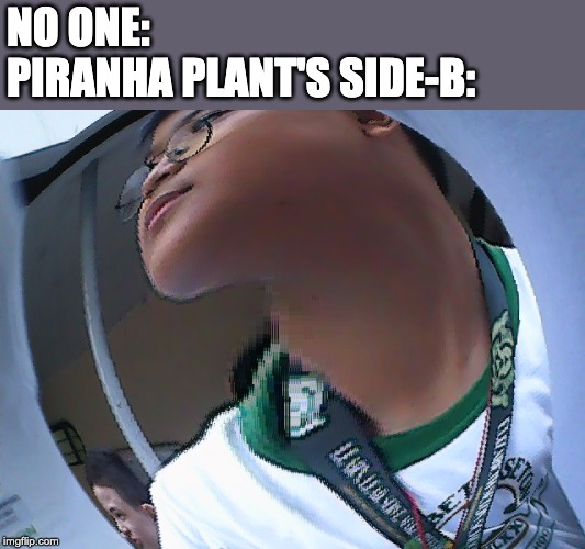 new template everyone! | NO ONE:
PIRANHA PLANT'S SIDE-B: | image tagged in ho boi long neck,super smash bros | made w/ Imgflip meme maker