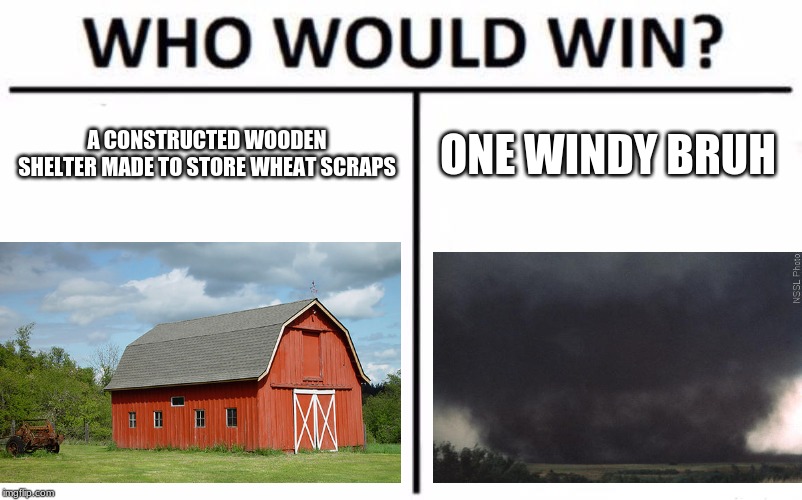 Who Would Win? Meme | A CONSTRUCTED WOODEN SHELTER MADE TO STORE WHEAT SCRAPS; ONE WINDY BRUH | image tagged in memes,who would win | made w/ Imgflip meme maker
