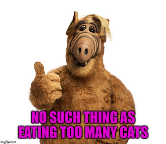 NO SUCH THING AS EATING TOO MANY CATS | made w/ Imgflip meme maker