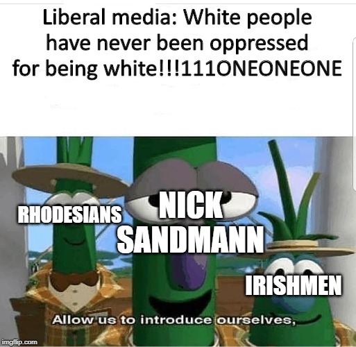 Allow us to introduce ourselves | Liberal media: White people have never been oppressed for being white!!!111ONEONEONE; RHODESIANS; NICK SANDMANN; IRISHMEN | image tagged in allow us to introduce ourselves | made w/ Imgflip meme maker