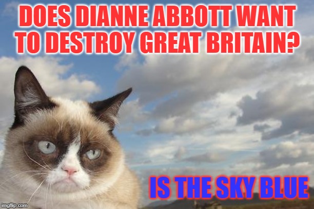 Grumpy Cat Sky Meme | DOES DIANNE ABBOTT WANT TO DESTROY GREAT BRITAIN? IS THE SKY BLUE | image tagged in memes,grumpy cat sky,grumpy cat | made w/ Imgflip meme maker