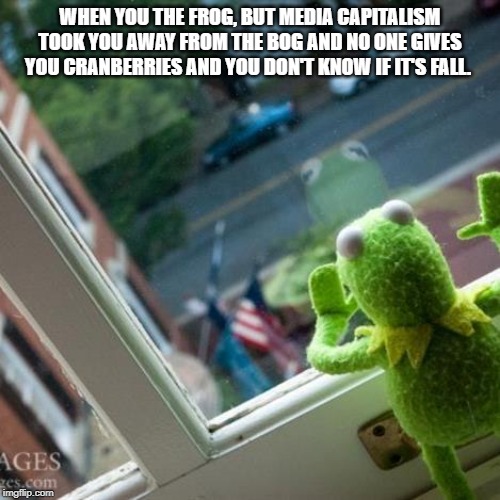 Kermit sad | WHEN YOU THE FROG, BUT MEDIA CAPITALISM TOOK YOU AWAY FROM THE BOG AND NO ONE GIVES YOU CRANBERRIES AND YOU DON'T KNOW IF IT'S FALL. | image tagged in kermit sad | made w/ Imgflip meme maker