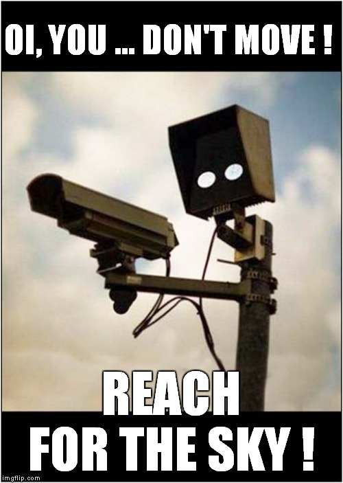 Don't Move ! | OI, YOU ... DON'T MOVE ! REACH FOR THE SKY ! | image tagged in fun,cctv | made w/ Imgflip meme maker