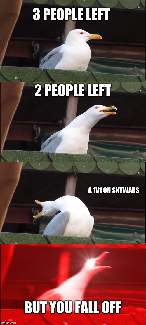 Inhaling Seagull Meme | 3 PEOPLE LEFT; 2 PEOPLE LEFT; A 1V1 ON SKYWARS; BUT YOU FALL OFF | image tagged in memes,inhaling seagull | made w/ Imgflip meme maker