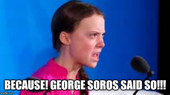 Greta Tells You Why | BECAUSE! GEORGE SOROS SAID SO!!! | image tagged in george soros,greta thunberg,ecofascist greta thunberg | made w/ Imgflip meme maker