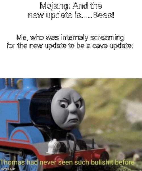 Thomas had never seen such bullshit before | Mojang: And the new update is.....Bees! Me, who was internaly screaming for the new update to be a cave update: | image tagged in thomas had never seen such bullshit before | made w/ Imgflip meme maker